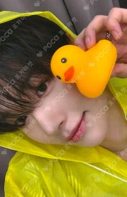 Snowy Summer knpops Sung Min Kim photocard image