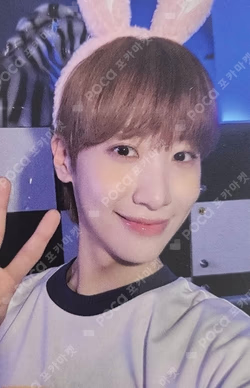 XOXO EVERLINE DONGMYEONG photocard image