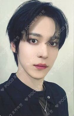 Ashes to Light FLASH PRICE EDITION