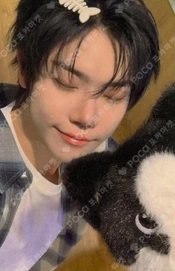 Snowy Summer Hellolive shop