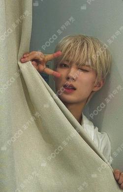 LEGGO MILLIONMUSIC MIN HO photocard image