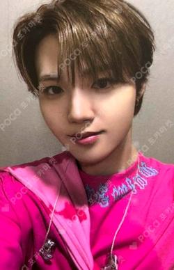 2025-26 TREASURE TOUR [PULSE ON] IN SEOUL ALBUM BOOTH DOYOUNG photocard image