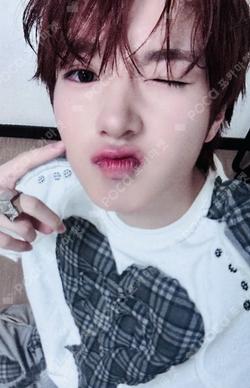 NCT SAKUYA photocard image