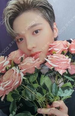 SEVEN SINS DEAR MY MUSE CHAJUNHO photocard image