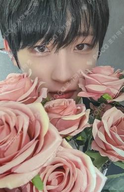 SEVEN SINS DEAR MY MUSE