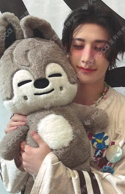 Stray Kids World Tour dominATE : celebrATE SKZOO PHOTOCARD TINCASE