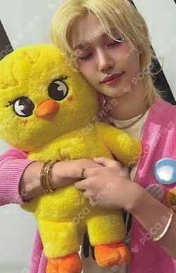 Stray Kids World Tour dominATE : celebrATE SKZOO PHOTOCARD TINCASE FELIX photocard image