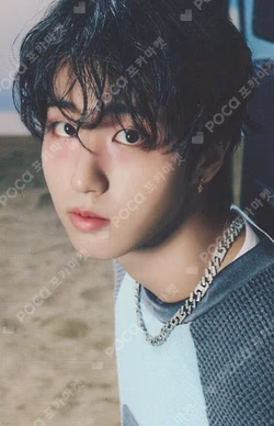 Stray Kids World Tour dominATE : celebrATE PHOTOCARD HOLDER