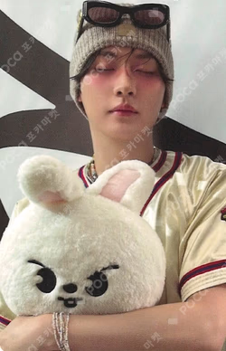 Stray Kids World Tour dominATE : celebrATE SKZOO PHOTOCARD TINCASE