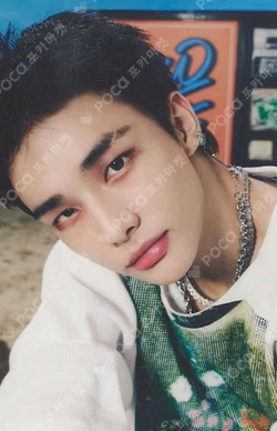 Stray Kids World Tour dominATE : celebrATE PHOTOCARD HOLDER