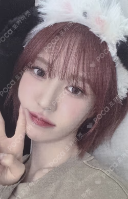 Cerulean Verge APPLEMUSIC WENDY photocard image