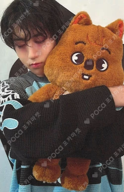 Stray Kids World Tour dominATE : celebrATE SKZOO PHOTOCARD TINCASE