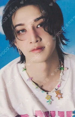 Stray Kids World Tour dominATE : celebrATE PHOTOCARD HOLDER