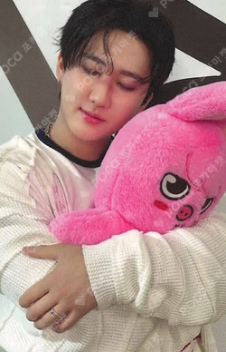 Stray Kids World Tour dominATE : celebrATE SKZOO PHOTOCARD TINCASE