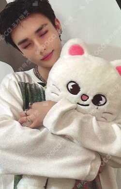 Stray Kids World Tour dominATE : celebrATE SKZOO PHOTOCARD TINCASE HYUNJIN photocard image