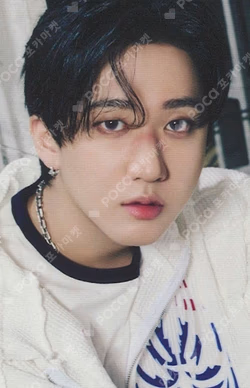 Stray Kids World Tour dominATE : celebrATE PHOTOCARD HOLDER CHANGBIN photocard image