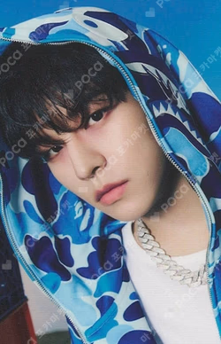 Stray Kids World Tour dominATE : celebrATE PHOTOCARD HOLDER