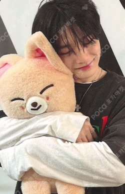 Stray Kids World Tour dominATE : celebrATE SKZOO PHOTOCARD TINCASE