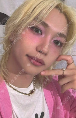 Stray Kids World Tour dominATE : celebrATE STAY ZONE FELIX photocard image