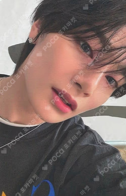 Stray Kids World Tour dominATE : celebrATE STAY ZONE I.N photocard image