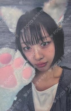 Soft Error BEATROAD Yves photocard image