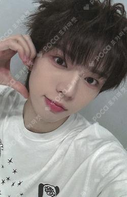 WILD&FREE K-MONSTAR BRIAN photocard image