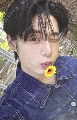 NEVER SAY NEVER MUSIC KOREA KIM JIWOONG photocard image