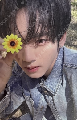 NEVER SAY NEVER MUSIC KOREA