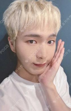 樂서(Story Written in Music) DEAR MY MUSE KEVIN photocard image