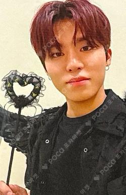 LOVE PULSE WEVERSE WINNER