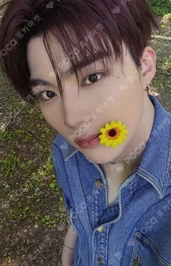 NEVER SAY NEVER MUSIC KOREA PARK GUNWOOK photocard image