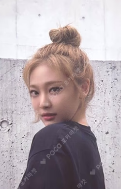 Savage Short Sleeve Deluxe Box