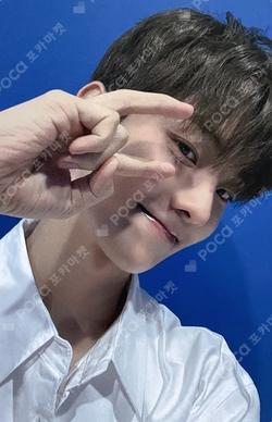 a;effect EVERLINE Q photocard image