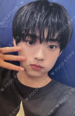 MY PRIDE ARAISE SHINYECHAN photocard image