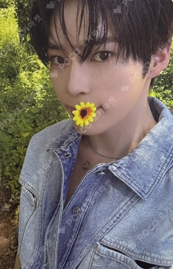 NEVER SAY NEVER MUSIC KOREA SUNG HANBIN photocard image