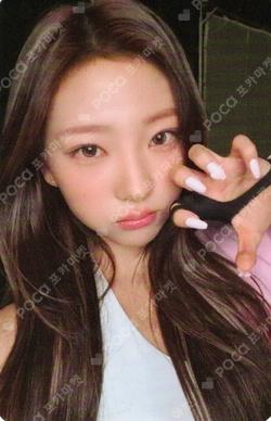 FOCUS APPLEMUSIC Stella photocard image