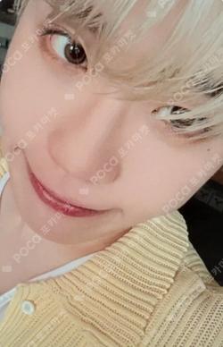 NEVER SAY NEVER SOUND WAVE