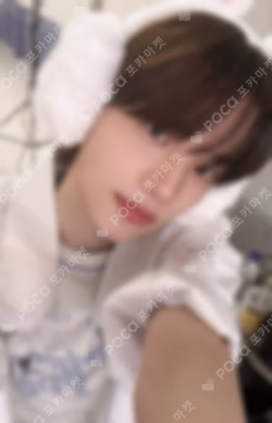 play hard dingo music GIFT