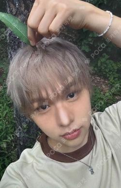 I did it. MUSIC KOREA CHUYOOCHAN photocard image