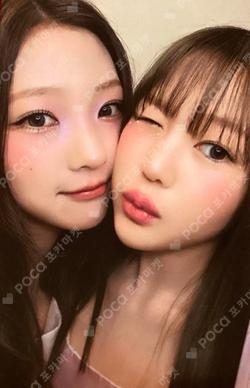 FOCUS Rule Book Ver. Unit photocard image