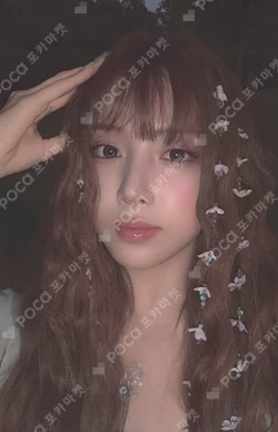 Blue Valentine LP Ver. Chaos Ver. JIWOO photocard image