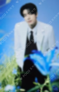 ENHYPEN WORLD TOUR ‘WALK THE LINE’ : FINAL Trading Card