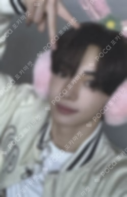 play hard dingo music GIFT