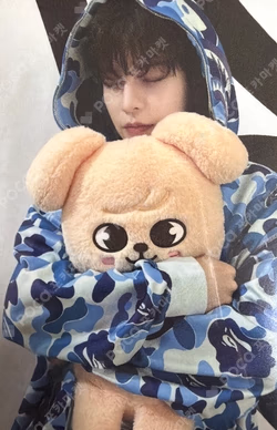 Stray Kids World Tour dominATE : celebrATE SKZOO PHOTOCARD TINCASE SEUNGMIN photocard image