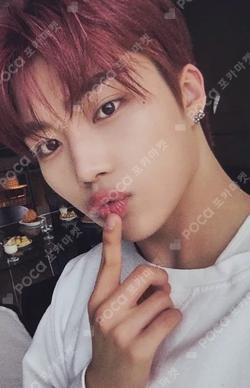 NEVER SAY NEVER APPLEMUSIC PARK GUNWOOK photocard image