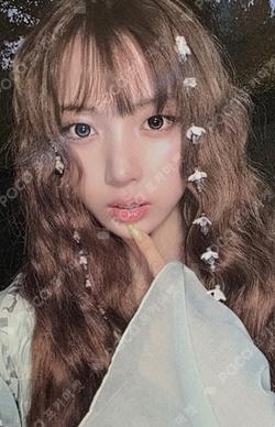 Blue Valentine BROADCAST JIWOO photocard image