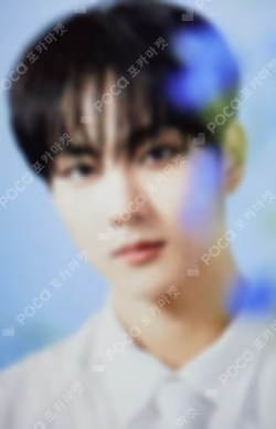 ENHYPEN WORLD TOUR ‘WALK THE LINE’ : FINAL Trading Card Set