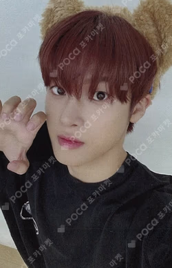 HOUSE OF TRICKY : SPUR knpops