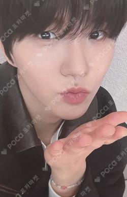 Steady DEAR MY MUSE JAEHEE photocard image