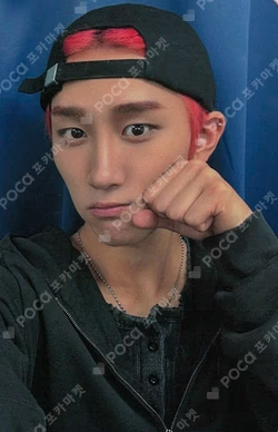 FLEX LINE fromm store